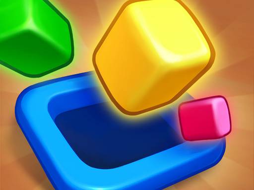 Hole Drop Puzzle